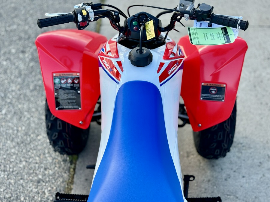 2026 Honda TRX® 250X