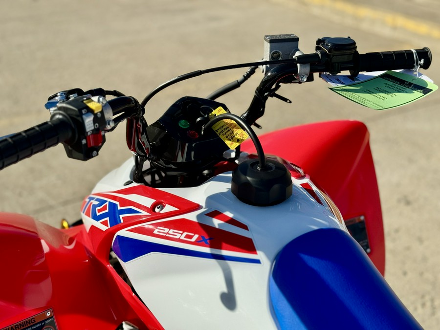 2026 Honda TRX® 250X
