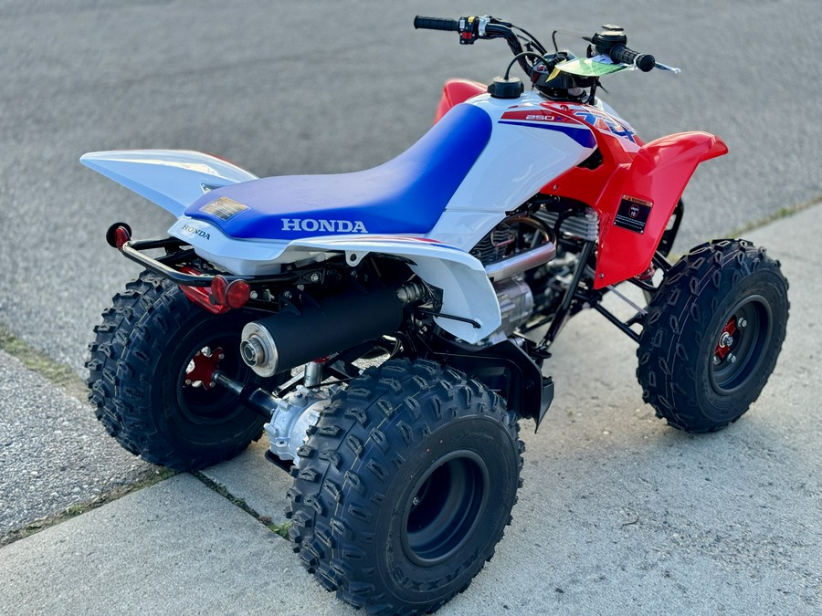 2026 Honda TRX® 250X