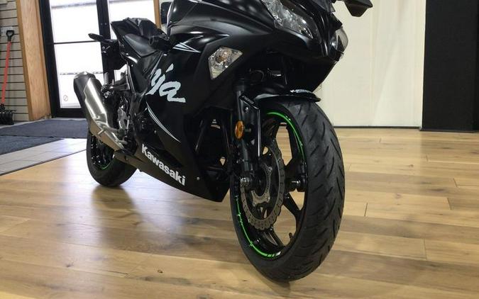 2017 Kawasaki Ninja® 300 ABS Winter Test Edition