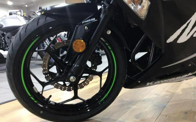 2017 Kawasaki Ninja® 300 ABS Winter Test Edition