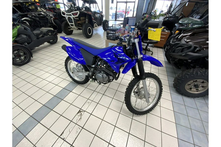 2024 Yamaha TTR230