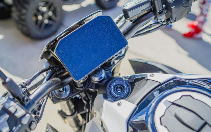 2026 Kawasaki Z900 ABS