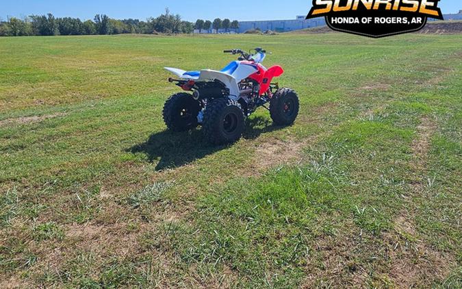 2026 Honda TRX 250X