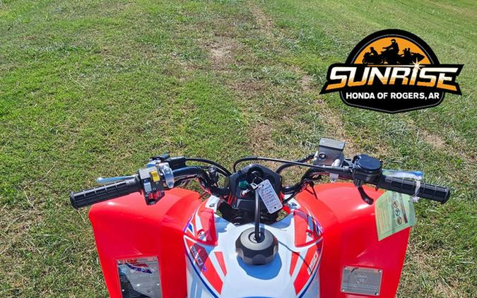 2026 Honda TRX 250X
