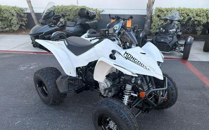 2026 Kymco MONGOOSE 270