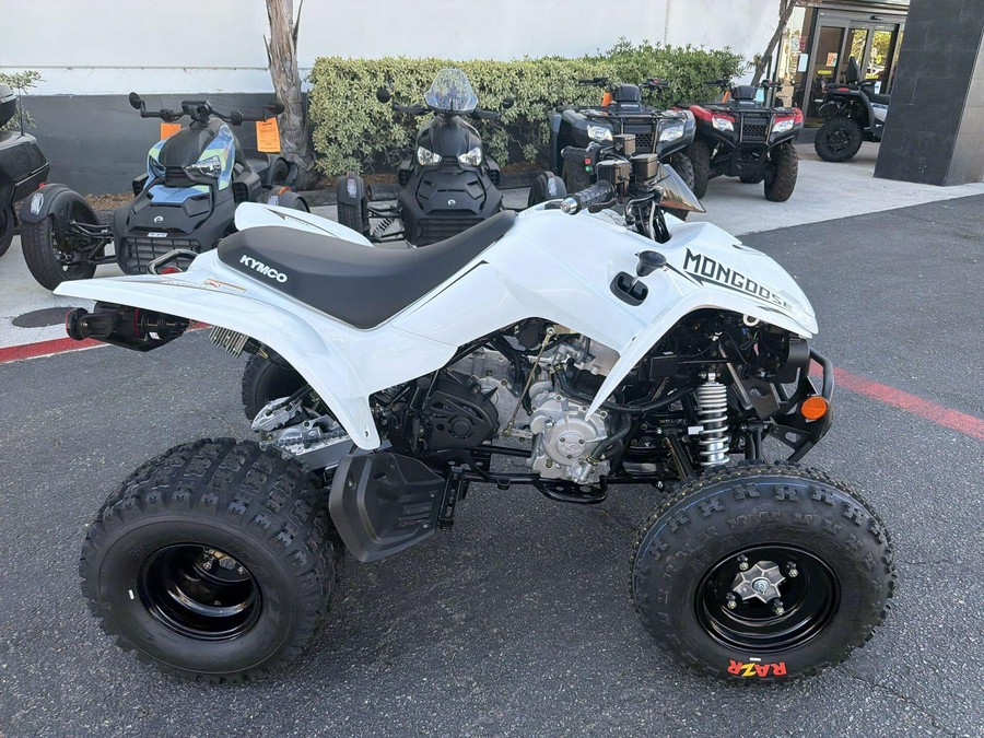 2026 Kymco MONGOOSE 270