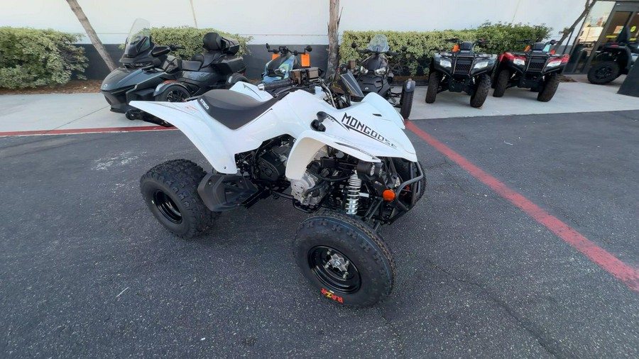 2026 Kymco MONGOOSE 270