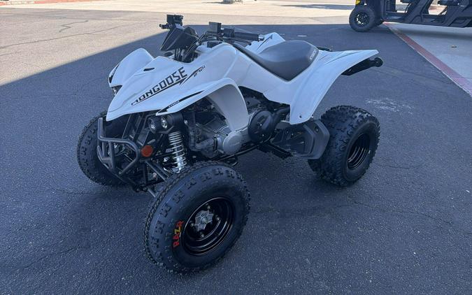 2026 Kymco MONGOOSE 270