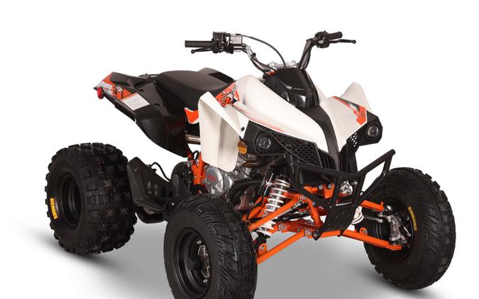2026 Kayo Storm 300 EFI