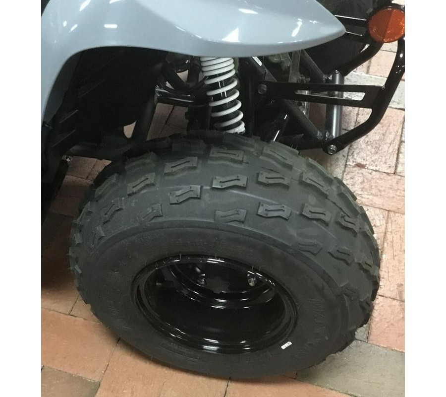 2024 Kawasaki KFX®90