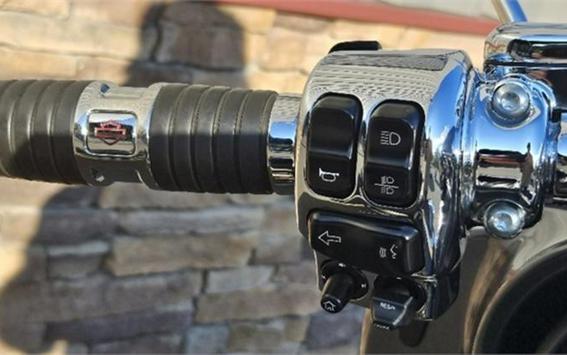 2019 Harley-Davidson® FLHXSE - CVO™ Street Glide®