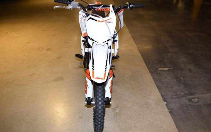2027 Kayo TD110EFI