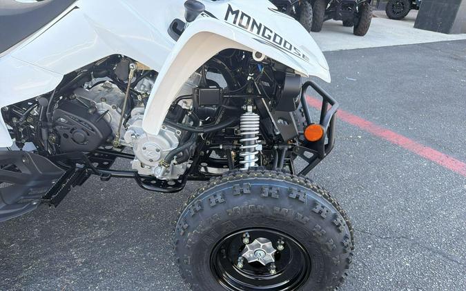 2026 Kymco MONGOOSE 270
