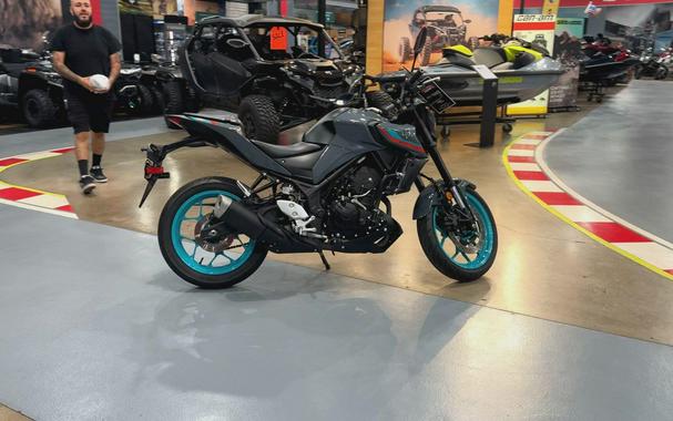 2023 Yamaha MT 03