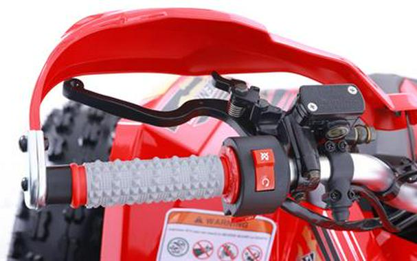 2026 Denago Powersports Trailhawk 10FI