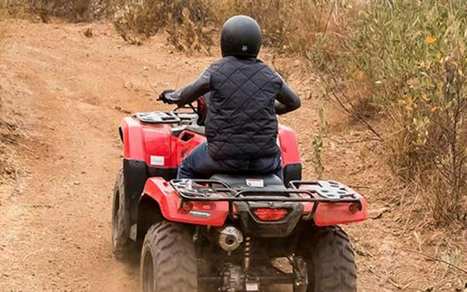 2024 Honda FourTrax Foreman 4x4 EPS