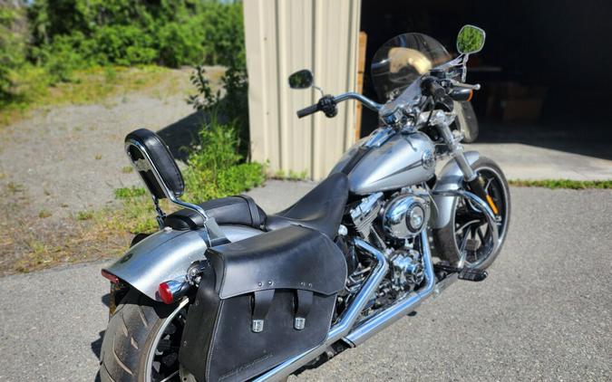 2015 Harley-Davidson® Breakout® Hard Candy Quicksilver Flake