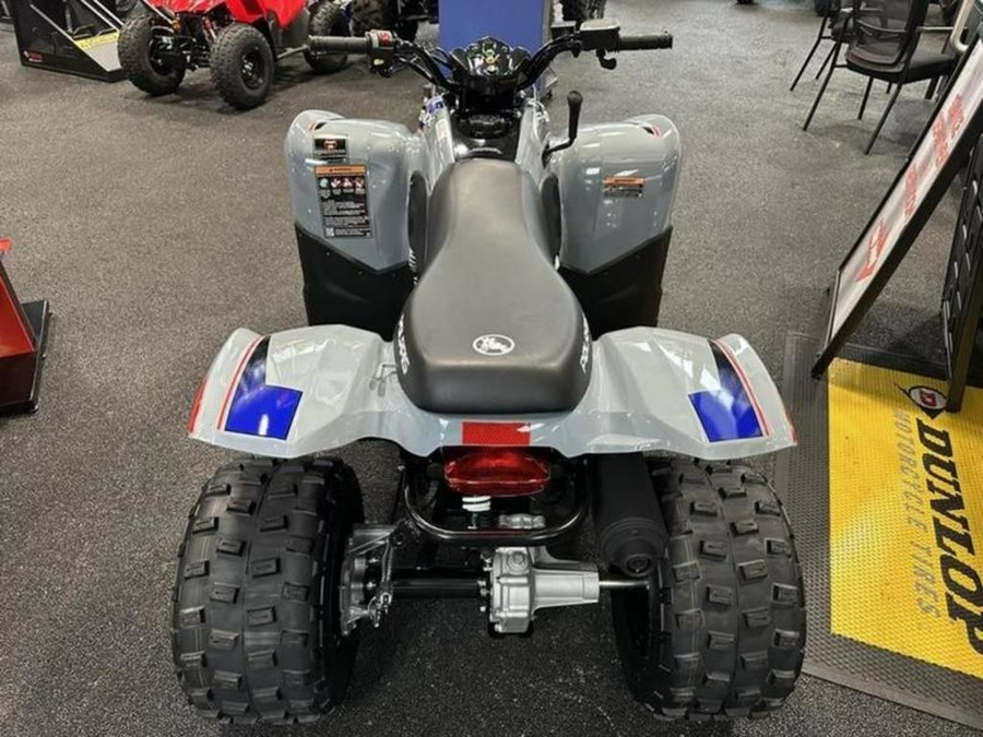 2025 Polaris® Phoenix 200
