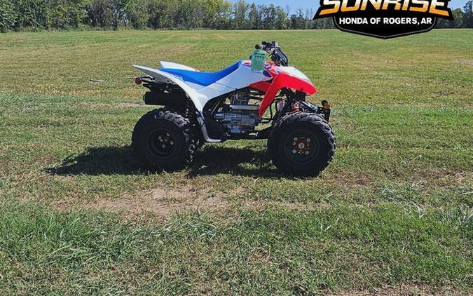 2026 Honda TRX 250X