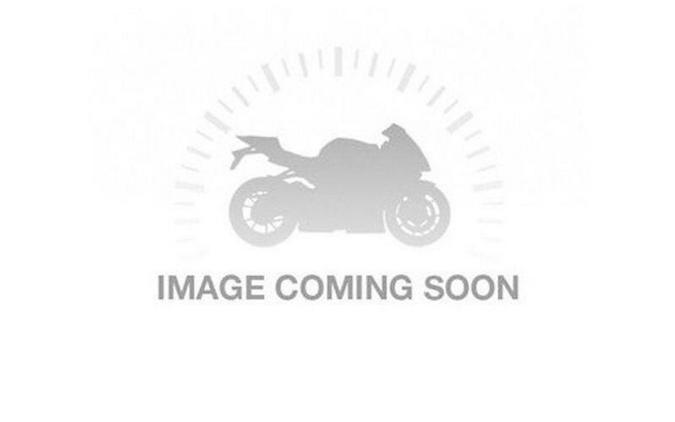 new 2025 Triumph Tiger 900 GT Pro