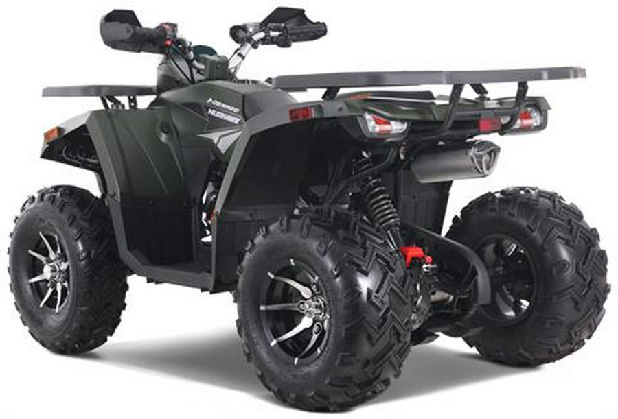 2026 Denago Powersports Mudhawk 200FI