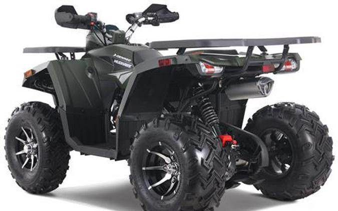 2026 Denago Powersports Mudhawk 200FI