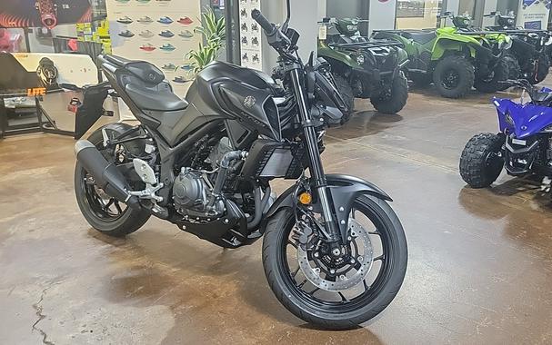 2025 Yamaha MT-03