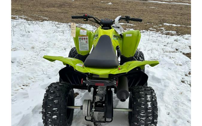 2026 Yamaha RAPTOR 110