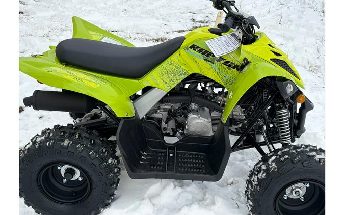 2026 Yamaha RAPTOR 110