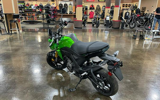 2024 Kawasaki Z125 PRO