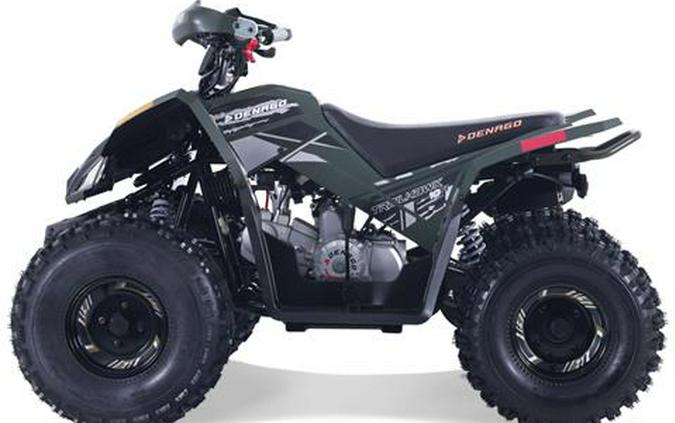 2026 Denago Powersports Trailhawk 10FI