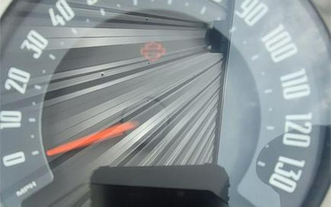 2021 Harley-Davidson® FLSL - Softail Slim®