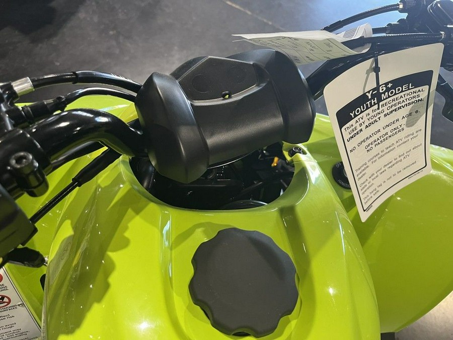 2026 Yamaha Raptor 110