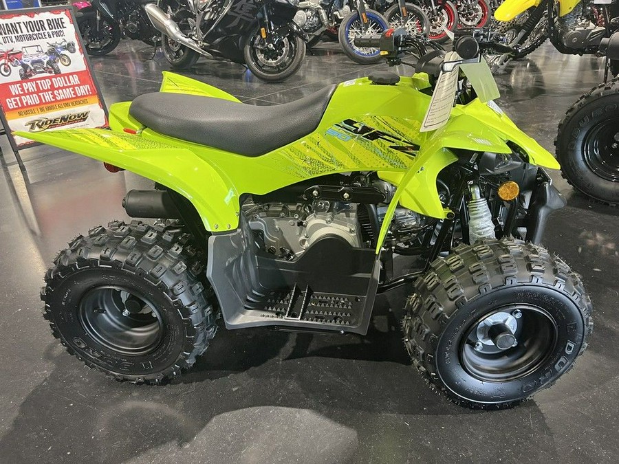 2026 Yamaha Raptor 110