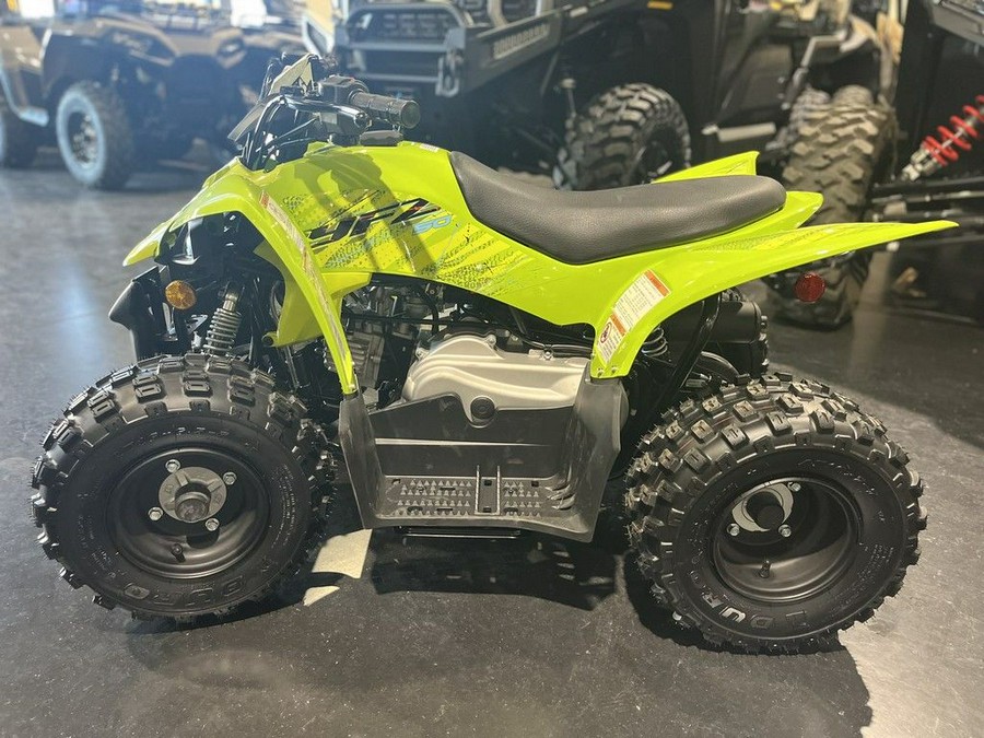 2026 Yamaha Raptor 110