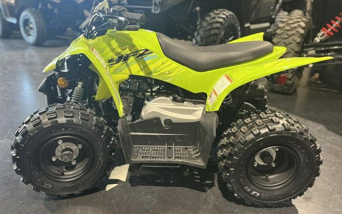 2026 Yamaha Raptor 110