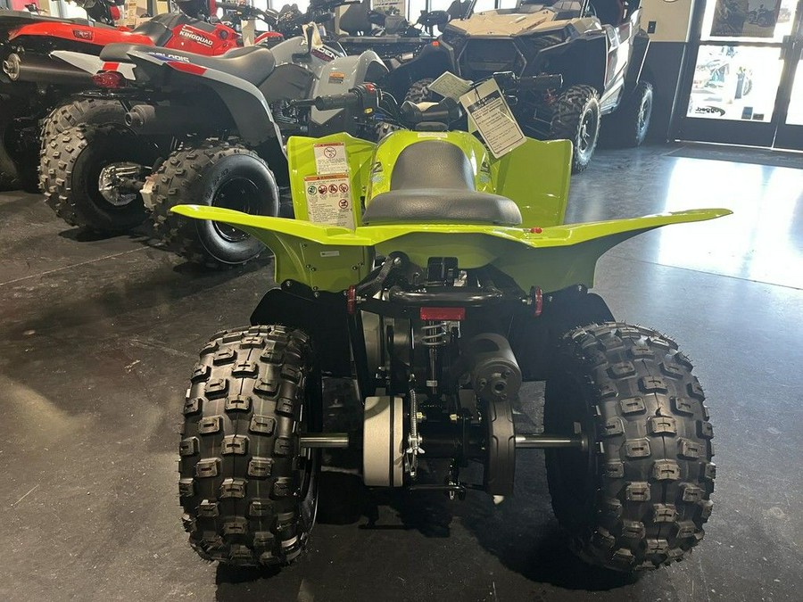 2026 Yamaha Raptor 110