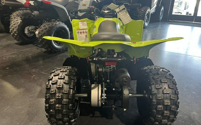 2026 Yamaha Raptor 110