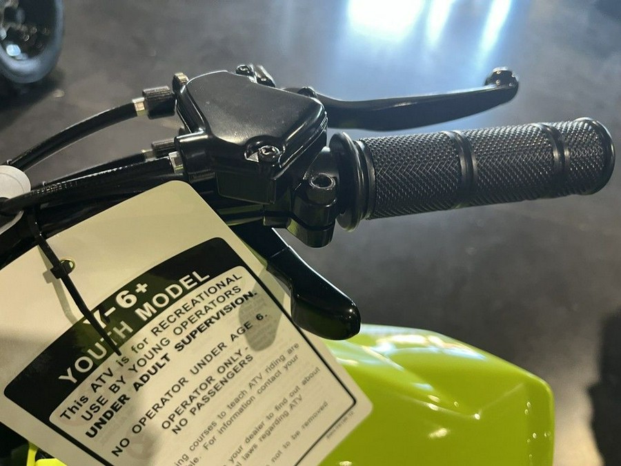 2026 Yamaha Raptor 110