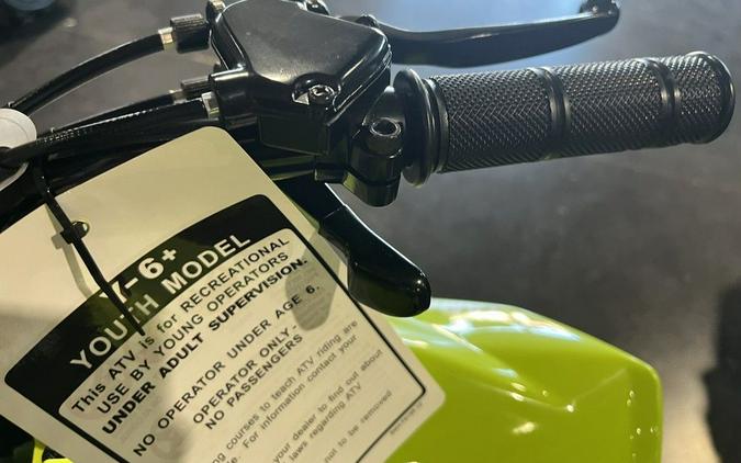 2026 Yamaha Raptor 110