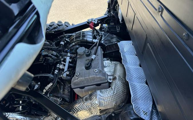 2020 Polaris® Ranger XP® 1000 NorthStar Edition Pursuit® Camo Ride Command®