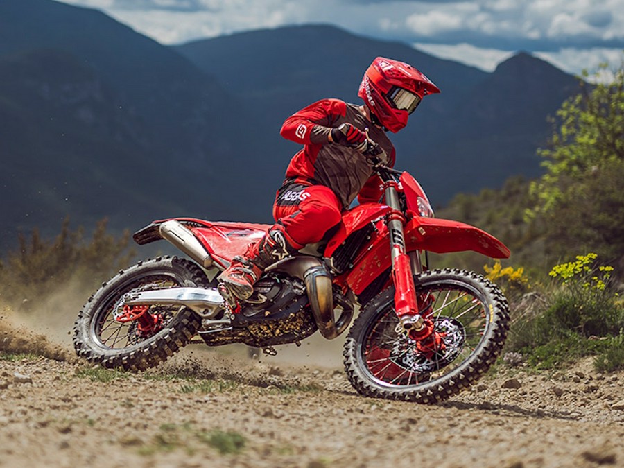 2025 Gas Gas EC 250 - 229350