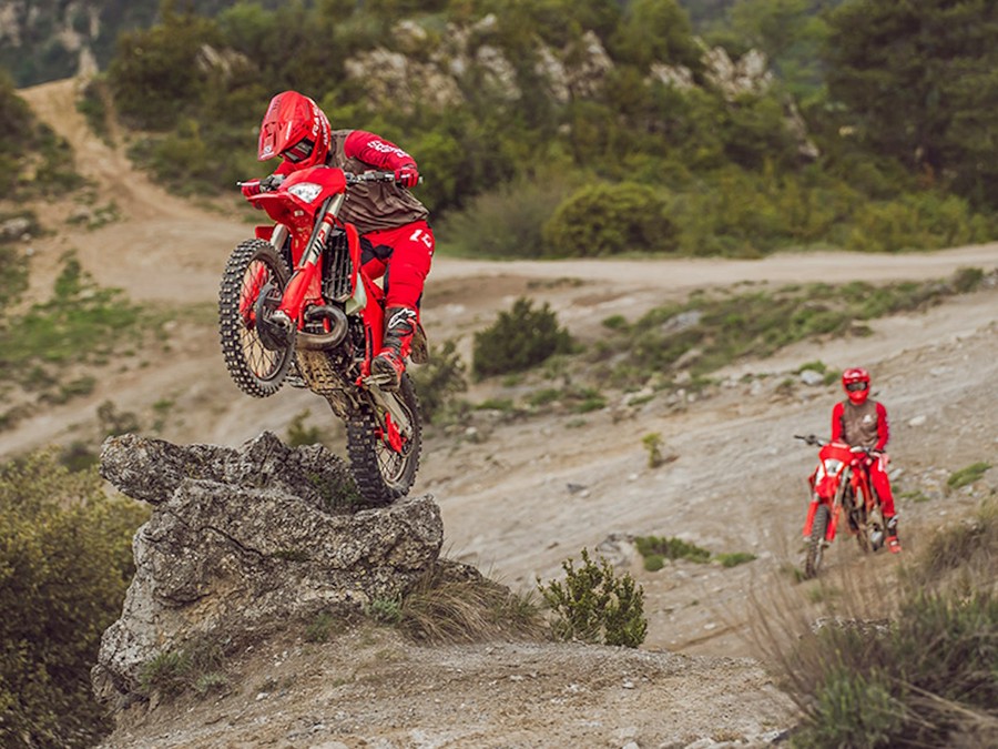 2025 Gas Gas EC 250 - 229350