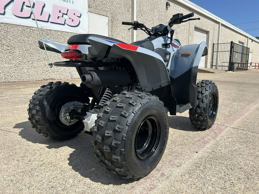 2026 Polaris Phoenix 200