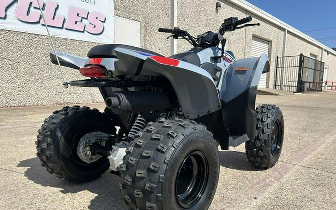 2026 Polaris Phoenix 200