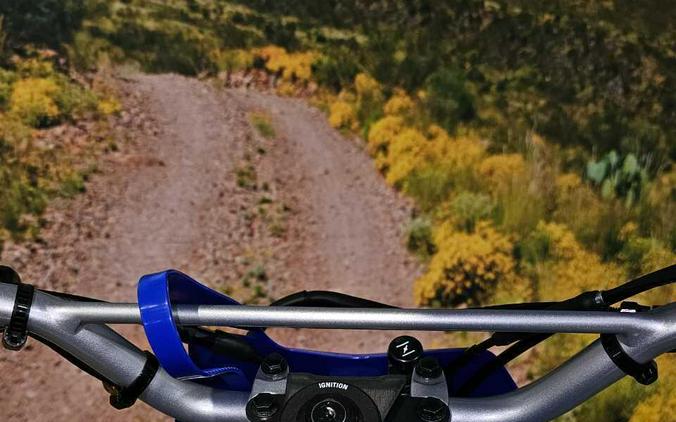 2025 Yamaha TT-R125LE