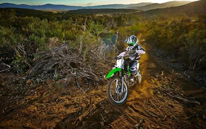 2015 Kawasaki KLX®140L