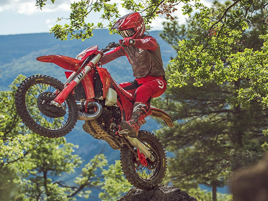 2025 Gas Gas EC 250 - 229430M