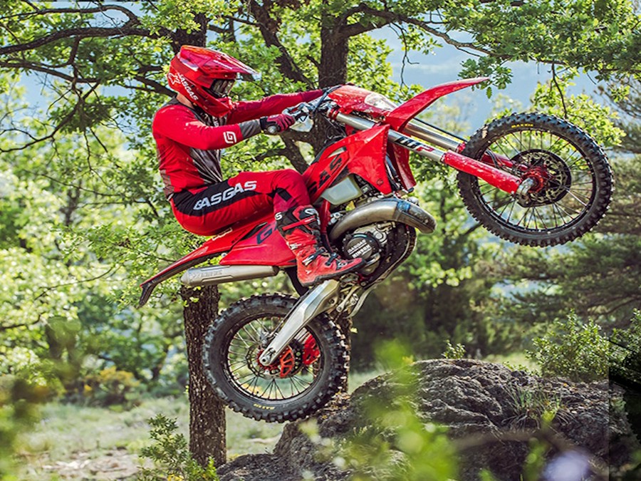 2025 Gas Gas EC 250 - 229430M